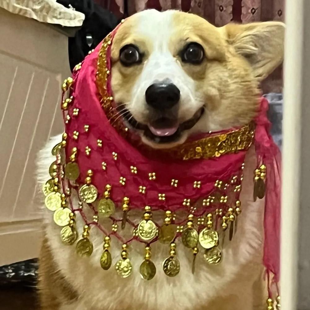 Dog Booty Shake Dance Booty To - مراجعة Printed Wrap Skirt وسعره