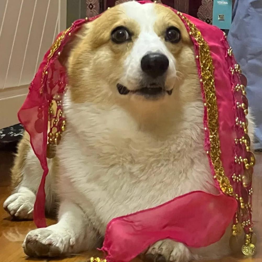 Dog Booty Shake Dance Booty To - مراجعة Printed Wrap Skirt وسعره