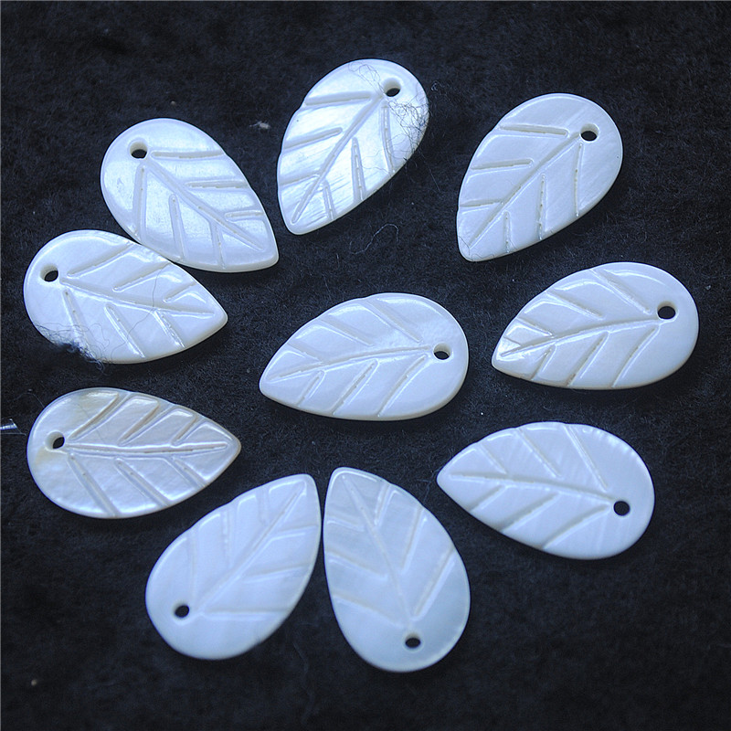 30PCS White Shell Leaf Shape 8 - مراجعة Women Fashion Nz وسعره