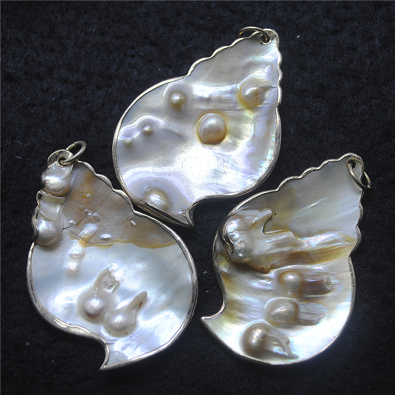 3PCS Nature Shell Pendants Mot - مراجعة Women Fashion Nz وسعره