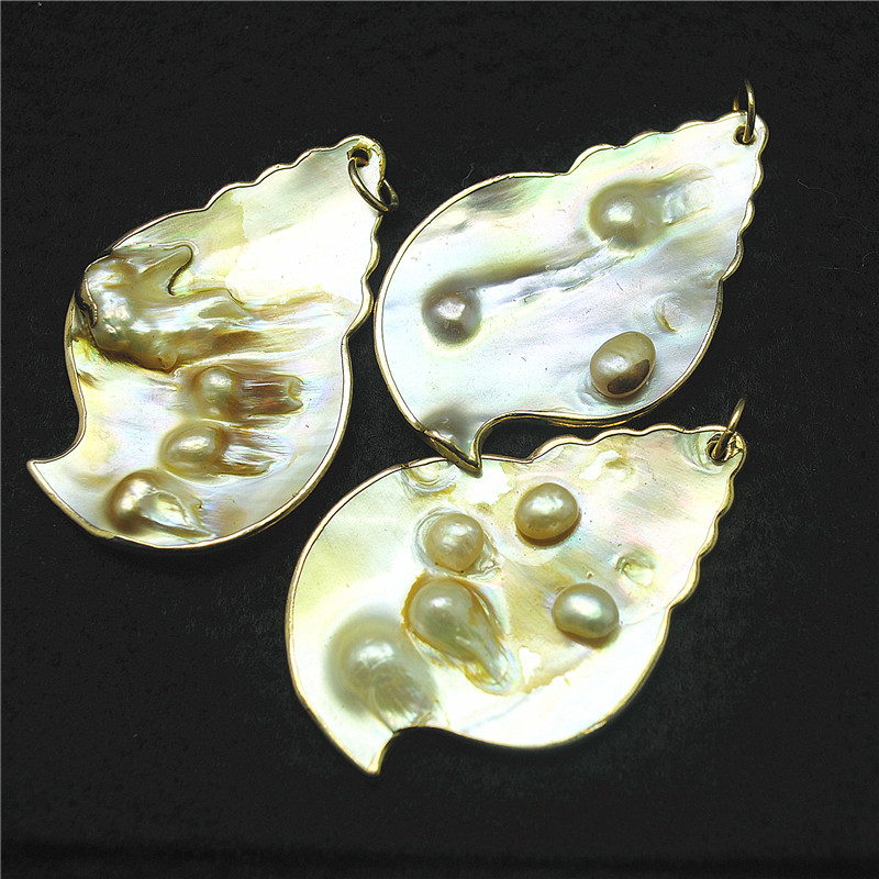 3PCS Nature Shell Pendants Mot - مراجعة Women Fashion Nz وسعره