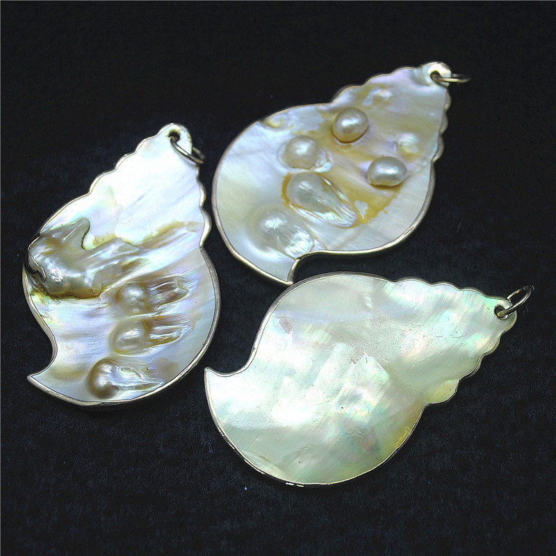 3PCS Nature Shell Pendants Mot - مراجعة Women Fashion Nz وسعره