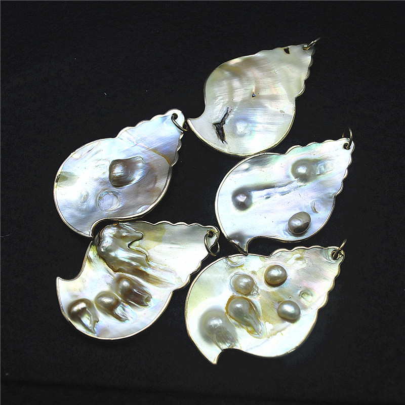 3PCS Nature Shell Pendants Mot - مراجعة Women Fashion Nz وسعره